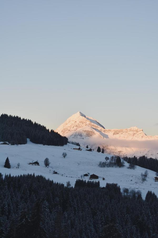 Chez Nonna - Charmant Demi-Chalet A La Montagne Notre-Dame-de-Bellecombe Eksteriør bilde